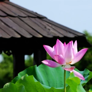 HÀ NỘI 2